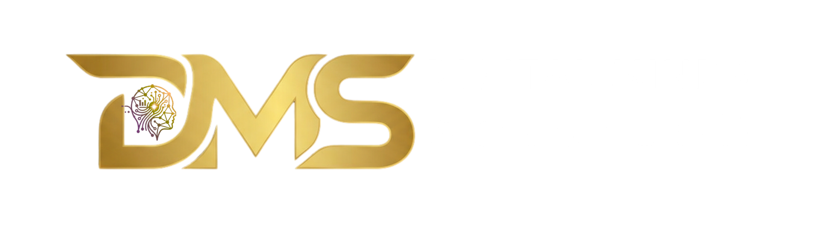 Digital Minds Solutions